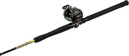 shimano saltwater combo