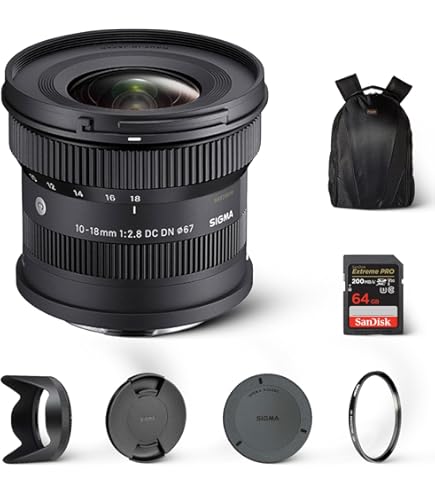 Amazon.com : Sigma 16-300mm f/3.5-6.7 DC OS Contemporary Lens for