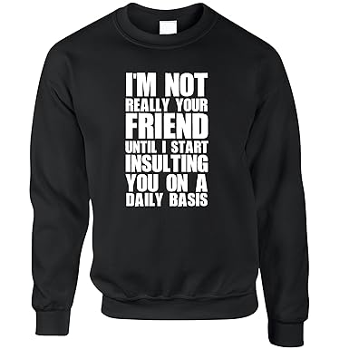 Tim And Ted Neuheit Unisex-Pullover Ich Bin Nicht Ihr Freund, bis ich dir Insult Black Medium