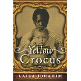 Yellow Crocus