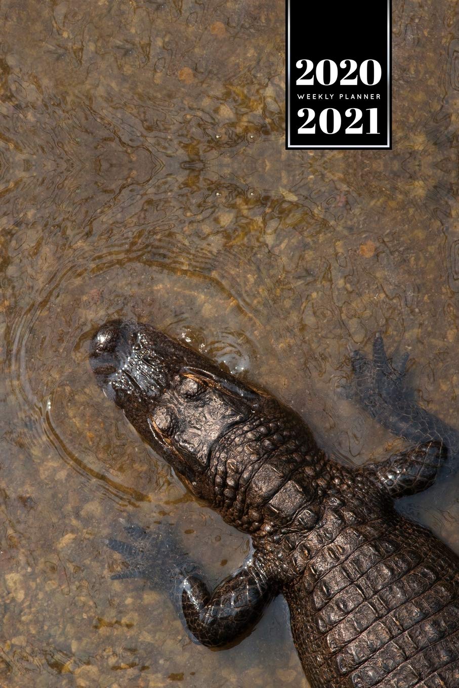 ensacar du jour croc