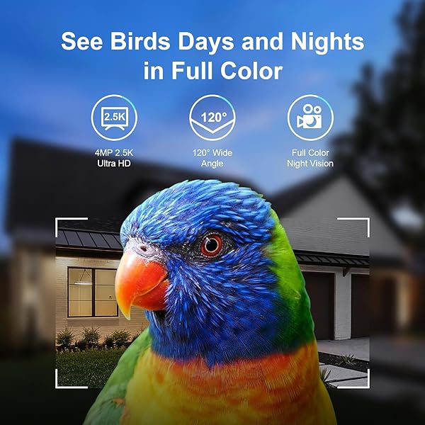 TREEBIRDY SMART BIRD FEEDER CAMERA – 4MP 2.5K FULL HD, 64G TF CARD INCLUDED, SOLAR POWERED WIRELESS, AUTO CAPTURE BIRD VIDEO & NOTIFY DETECTED BIRDS, AI IDENTIFY 11000+ BIRDS FEED WATCHING CAMERA