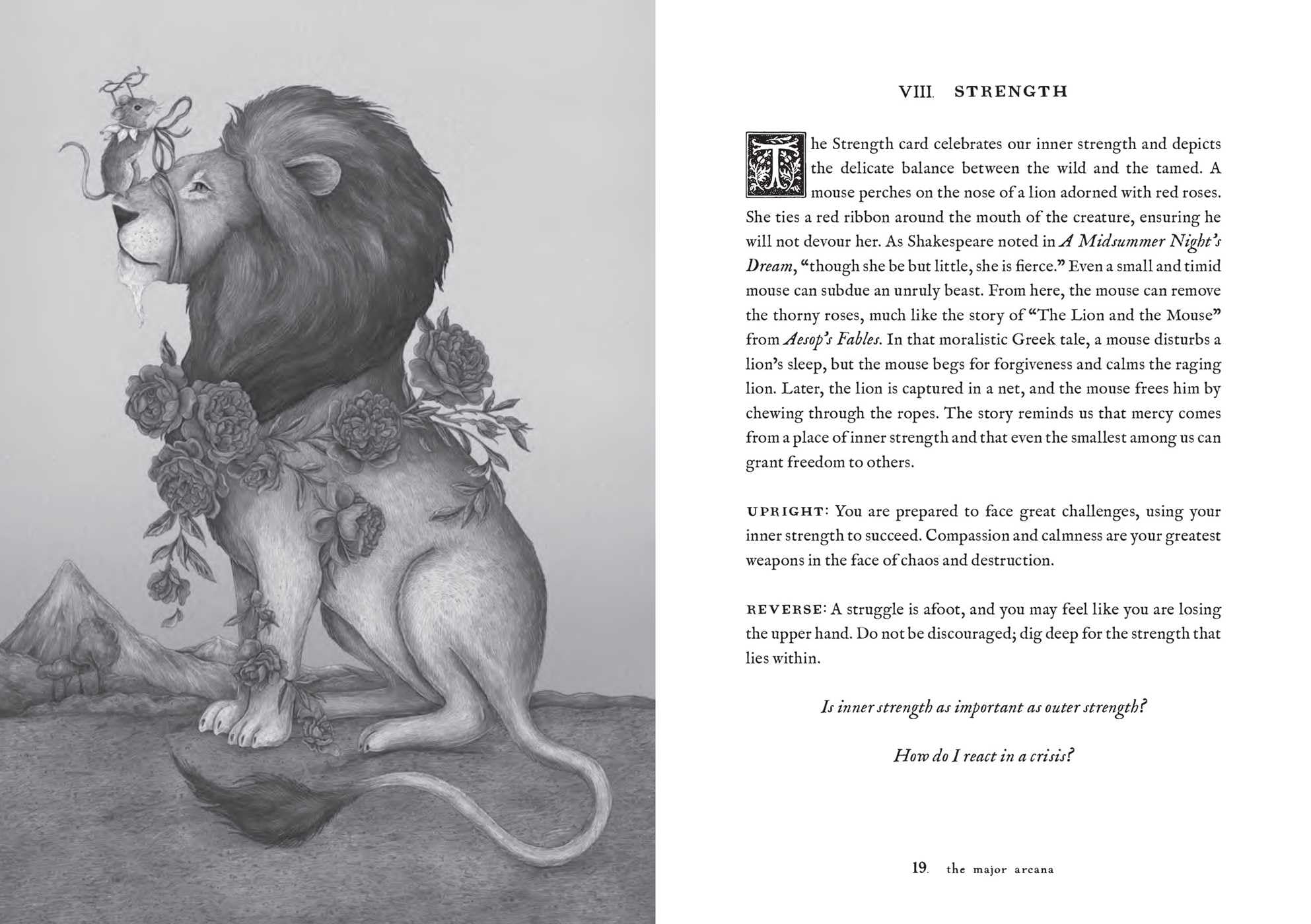 Tarot of the Woodland Wardens: 78-Card Deck & Guidebook Tarot of the Woodland Wardens: 78-Card Deck & Guidebook Product Bundle