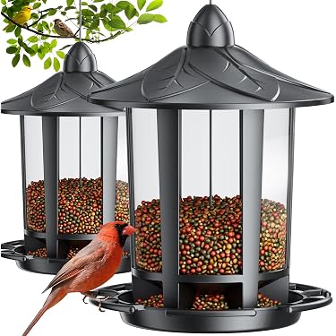 Set Di 4 Sottobicchieri Con Riccio – Adorabile Design Autunnale, Con Retro In Sughero, 9.5×9.5 Cm, Regalo Per Amanti Animali, Giardino - copertina