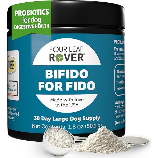 71bnIP2SkmL._AC_UL600_SR600,