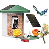 HARYMOR Bird Feeder with Camera with AI Identify Birds Species Solar Powered, Smart Bird House with Cam, 2K HD Video Live Stream, Instant Arrival Alerts - Green