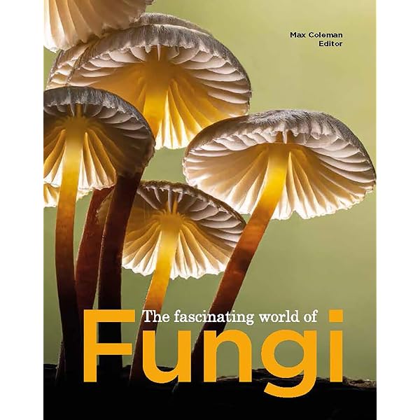 The Fascinating World of Fungi: Coleman, Max, Boddy, Lynne