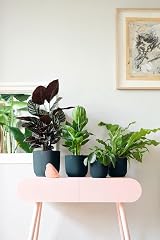 elho Vibes Fold Round 16 Indoor Plant Pot 100% Recycled Plastic Blue view 8