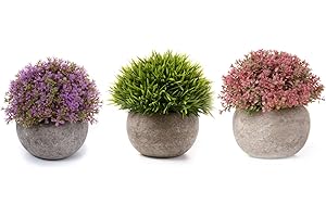 T4U Plastic Artificial Plants Fake Plants with Pots Decorative Colorful Lifelike Flower for Home/Office Decor Pack of 3