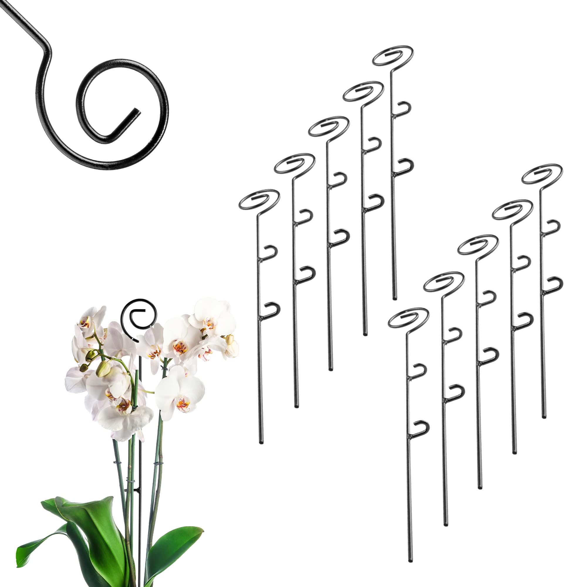 KADAX Plant Support Stakes, Set of 10, Decorative Black Steel Supports for Indoor Flowers, Single Stem Support Sticks for Orchid (Spiral, 50 cm)