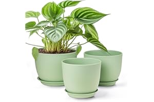 Gardrium Plant Flower Pots 10/9/8 inch Set of 3, Plastic Planters with Drainage Hole for Indoor Outdoor Garden, Green