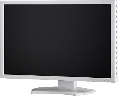 NEC LCD-P242W 24 inch Monitor DVI HDMI DP VGA USB Adjustable Stand VESA Mount