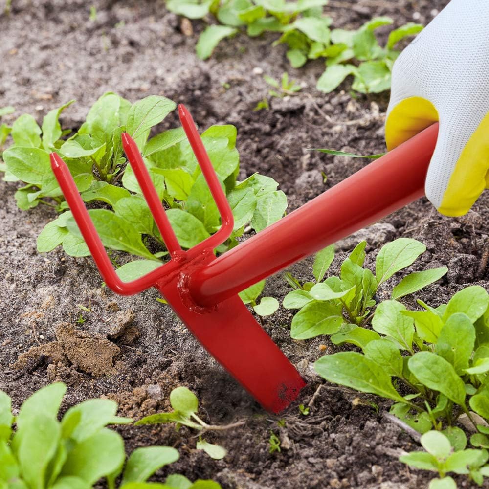 Colwelt Hand Cultivator 14'', All Steel Hoe and Cultivator with Carbon Steel Blade & Nonslip Ergonomic Handle, Heavy Duty Vegetable Tiller Terra Mattock for Loosening Compacted Soil, Weeding, Digging : Garden & Outdoor