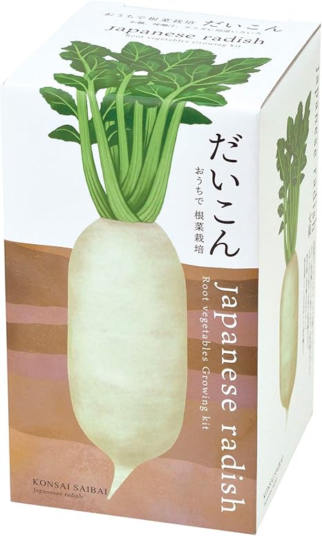 Amazon Co Jp 聖新陶芸 おうちで根菜栽培セット だいこん サイズ 約w10 3 D10 3 H18 8 Gd 101 ホーム キッチン