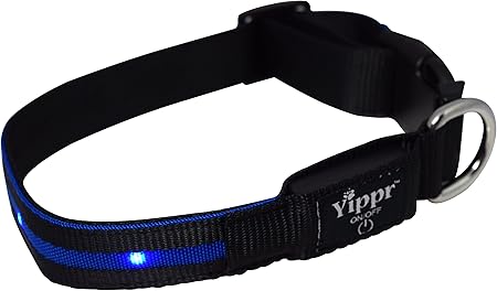 dog collar blinking lights