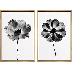 MUDECOR Framed Canvas Print Wall Art Set Black and