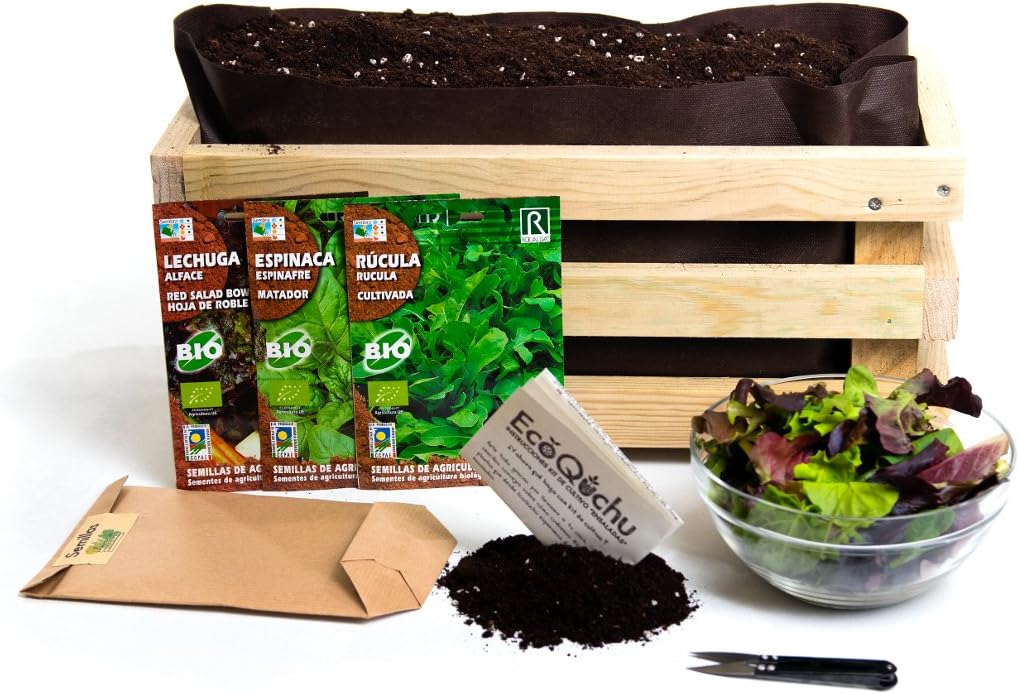 Kit de cultivo