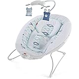 fisher price fairytale deluxe bouncer