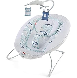 fisher price 2 in 1 deluxe cradle and swing