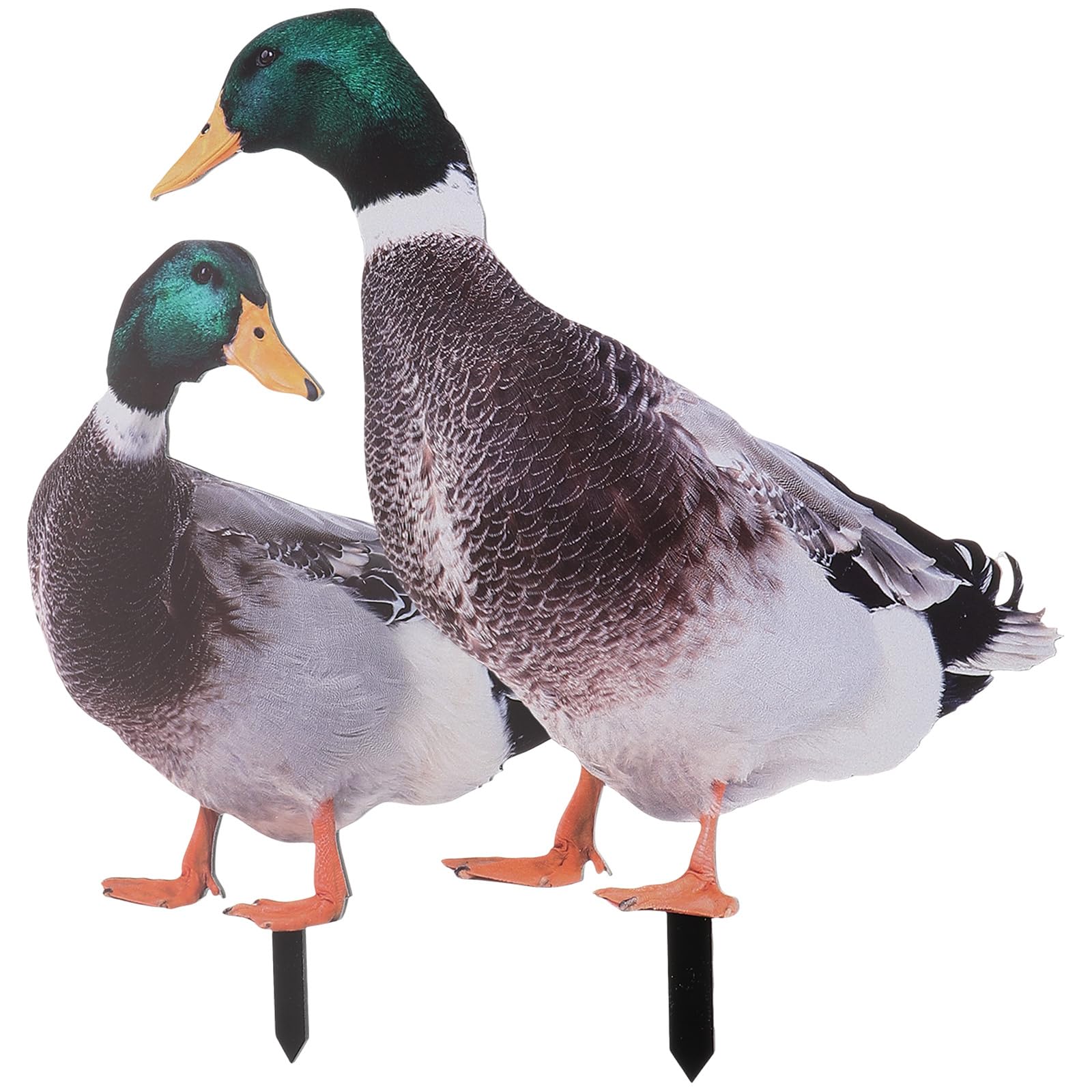 BESPORTBLE 2pcs Garden Duck Decoration Lawn Duck Sculpture Animal Garden Sign s Animal Sculpture Lawn Ornaments Patio Model Home Figure Acrylic