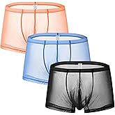 ZONBAILON Mens Sexy Underwear See Through Silk Boxer Pouch Briefs Breathable Mesh Trunks Pack