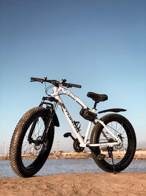 sturdy fat bike price