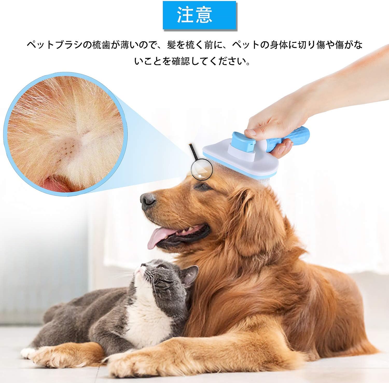Amazon Celife ペットブラシ 犬 猫 スリッカーブラシクリーナー グルーミング ワンプッシュで抜け毛除去 針のビーズ デザイン ペットの肌を守る Celife ブラシ 通販 Amazon Celife ペットブラシ 犬 猫 スリッカーブラシクリーナー グルーミング ワンプッシュで抜け毛除去 針のビーズ デザイン ペットの肌を守る Celife ブラシ 通販