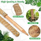Aileem Moss Poles 122cm 2 Pack Bendable Plant Support Climbing Poles view 4