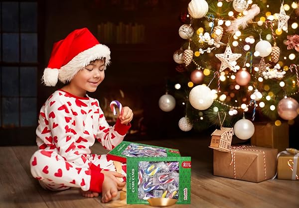 FRUIDLES CHRISTMAS CANDY CANES MINI’S SUCKERS, MULTICOLORED FRUITY FLAVOR, INDIVIDUALLY WRAPPED, 2″ INCH, NET WT 4.42OZ (125G) (100-PACK)