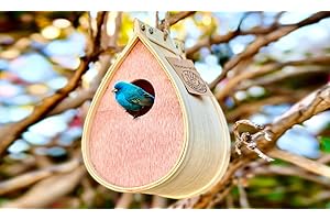 GARDENINGPRODUCTS4LESS Pollinating Palace - Outdoor Hanging Wooden Bird House,Outdoor Birdhouse for Hummingbirds, Bluebirds and Finch Cardinals, Songbirds, Birdhouse Nesting Box for Wild Bird Viewing Great Gift!