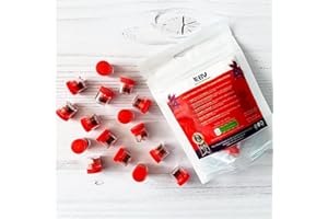 EBV Saffron Powder 2g - Grade A+ Certified, ISO 3632 Compliant - 100% Pure All Red - 2g (16 x 125mg) Single Serve for Tea, Drinks & Culinary