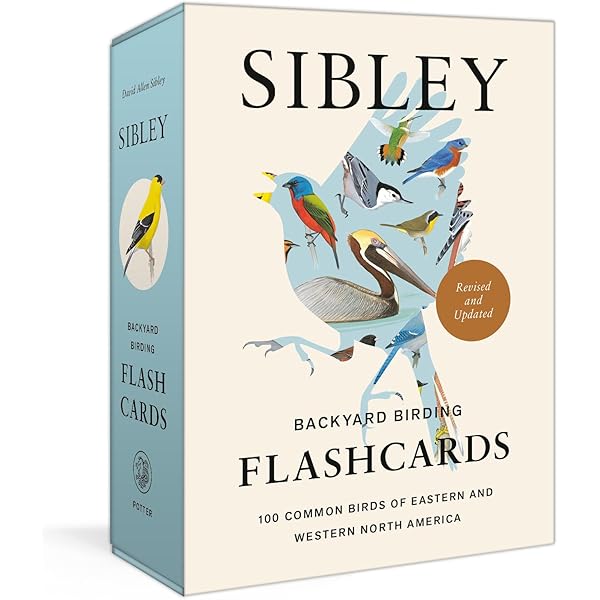 BiRD : LIFE'S A JOURNEY n°1〜8　全8冊 Amazon.com : Smart Bird Feeder with Camera, 1.8L Solar Powered