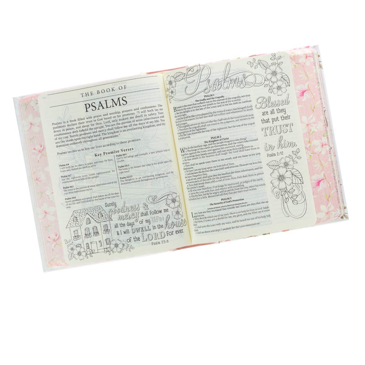 KJV Holy Bible, My Promise Bible, Hardcover w/Bible Tabs, Coloring Stickers, Ribbon Markers, King James Version, White/Pink Floral Wreath (KJV Promise Editions) KJV Holy Bible, My Promise Bible, Hardcover w/Bible Tabs, Coloring Stickers, Ribbon Markers, King James Version, White/Pink Floral Wreath (KJV Promise Editions) Hardcover