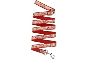 Zubaz X Pets First NFL San Francisco 49Ers Leash For Dogs & Cats, Large