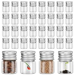 Tessco 100 Pcs 5 ml Mini Glass Bottles with Screw