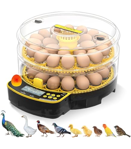 Amazon.com: 18-33 Egg Incubator for Hatching Eggs, Automatic Egg