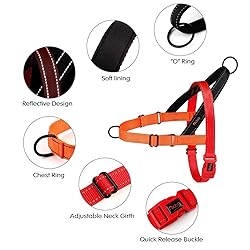 Didog No Pull Dog Harness with Soft Padded