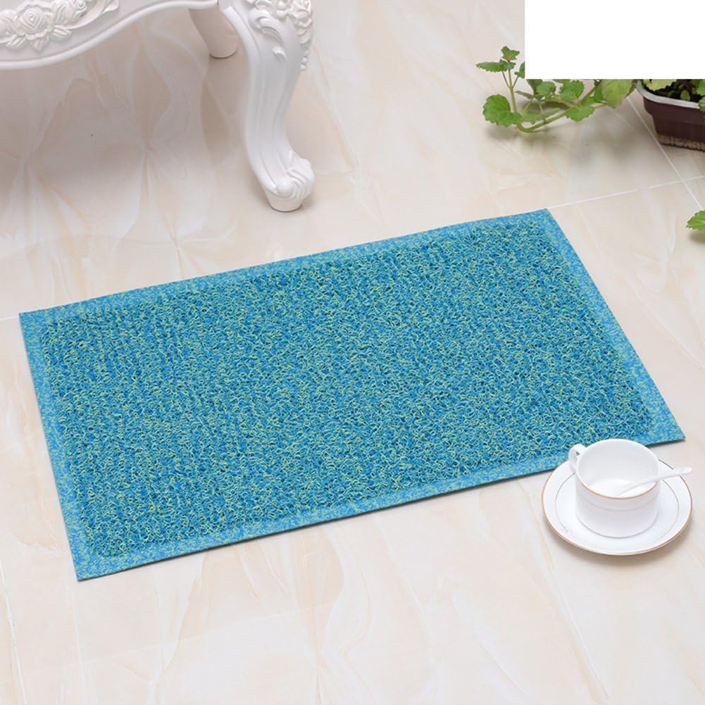 floor mat/indoor mats/ plastic mat/Kitchen bathroom non