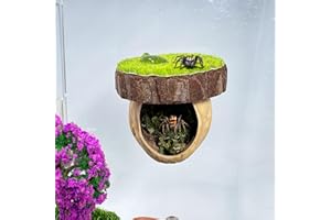 DAERKY Jumping Spider Hideout - Magnetic Hiding Habitat, Climbing Platform, Handmade Fence Accessory From Natural Materials, Suitable for Small Insects