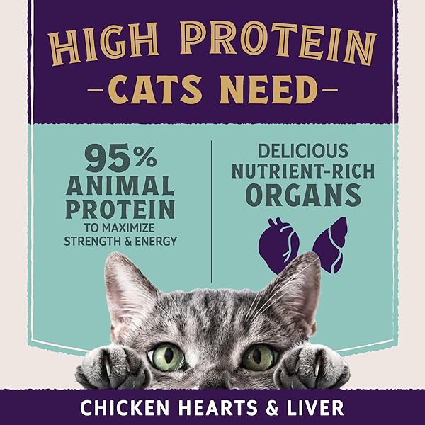 NATURAL BALANCE ULTRA PROTEIN PLUS WET CAT FOOD, IMMUNE & DIGESTIVE HEALTH REAL CHICKEN WITH PUMPKIN PUREE TOPPER WITH CHICKEN LIVER & CHICKEN HEART, HIGH PROTEIN CAT FOOD – 2.4 OZ.