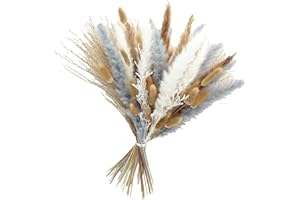 Long Lasting Dried Flower Collection 65PCS Pampas & Stems Suitable for Craft Wedding Setting & Photo Background Nonconformist