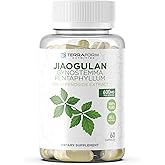TerraForm Nutrition Gynostemma Pentaphyllum Supplement - 600mg per Capsule - 98% Gypenoside Extract (20:1) - Jiaogulan - 60 Capsules - Adaptogenic Herbal Supplement