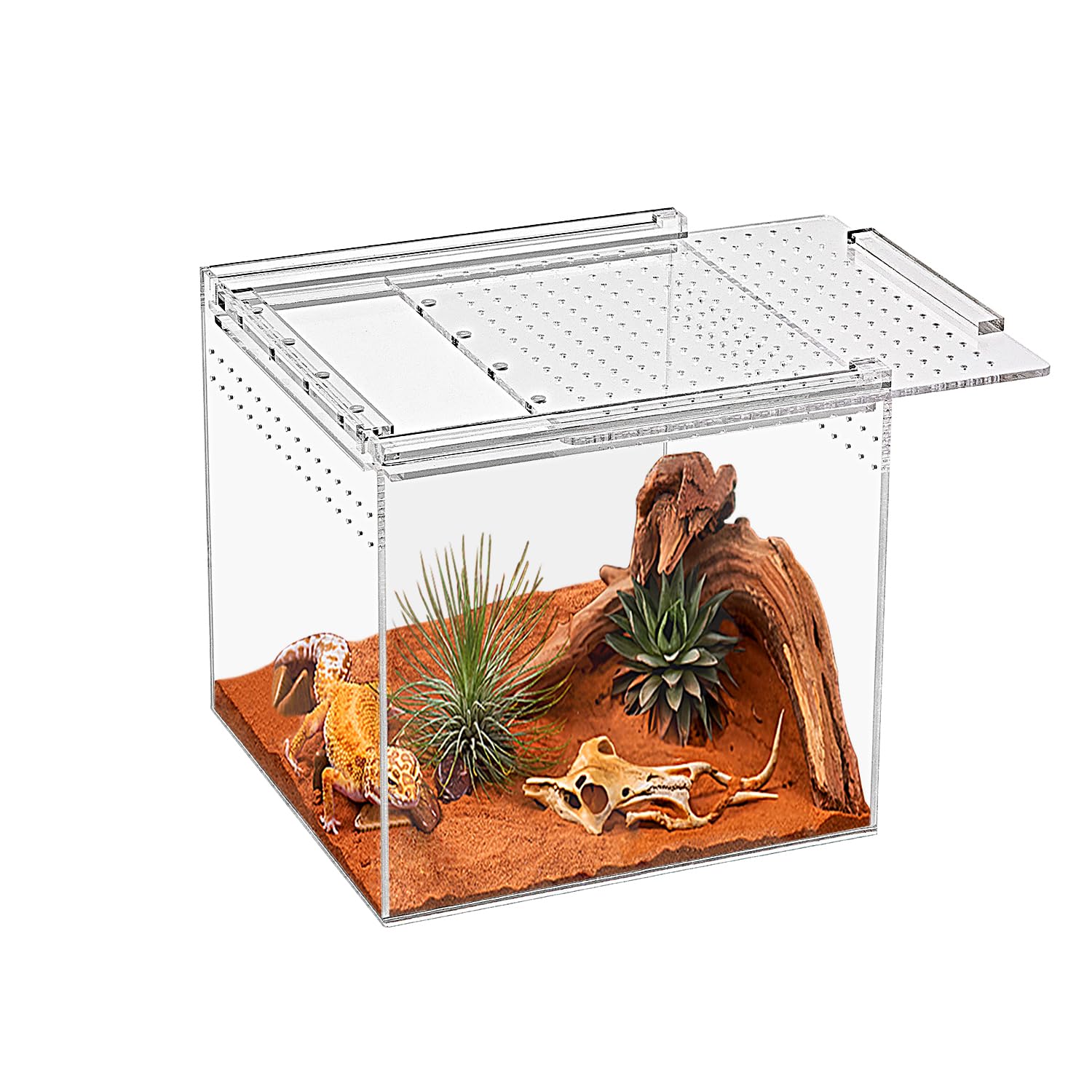 KAKOOTI Reptile Terrarium,6.8"*6.8"*6" Reptile Breeding Box, Magnetic Acrylic Enclosure，for Tarantula，Hermit Crab，Jumping Spider，Iguana，Leopard Gecko，Bearded Dragon, Insect, Mantis, Scorpions.