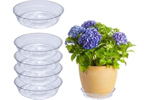 Curtis Wagner Plastics Drip Pan Saucers (5-Pack) - Clear, Round (Diameter: 3" Base, 4" Top, 1.12" Depth) Thin Plastic Plant T