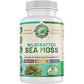WHOLE WORLD WELLNESS Organic Sea Moss | Immune Support & Brain Health | Bladderwrack, Burdock Root & Bioperine | All Natural, Dairy Free, Gluten Free | 60 Capsules | Made in The USA.