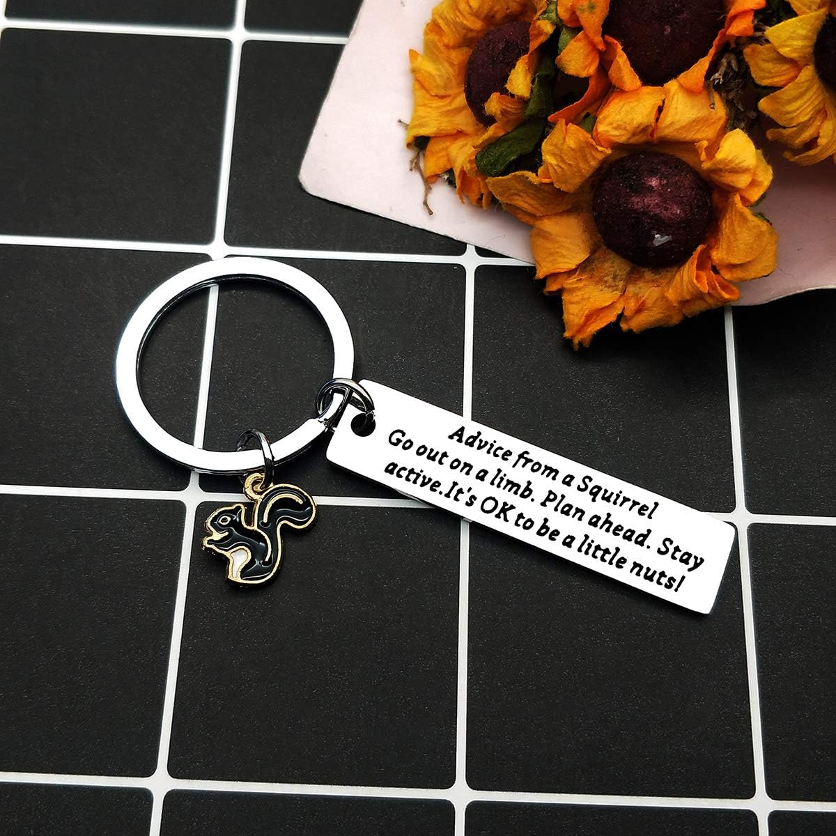 Funny Squirrel Keychain Advice from a Squirrel Gifts for Squirrel Lovers Nature Lovers Go Out on a Limb Plan Shead Stay Sctive It’s OK to be a Little Nuts Cute Keychain Keyring Gift for Squirrel Fans - Image 4