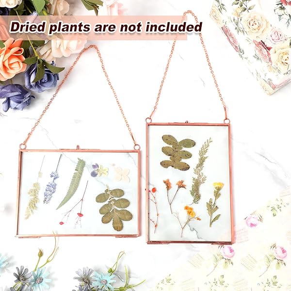 BARYDAT 12 PACK PRESSED FLOWERS GLASS FRAMES, 5 X 7 INCH BRASS HANGING FLOATING FRAME WITH CHAIN, DOUBLE GLASS PHOTO DISPLAY FOR DRIED FLOWERS, PLANT SPECIMEN, ARTWORK DISPLAY (ROSE GOLD)