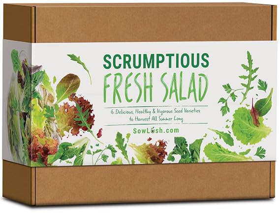 Sow Lush Set de Cultivo de Semillas para Ensalada «Scrumptious ...