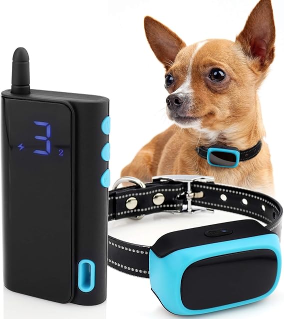 shock collar for 10lb dog