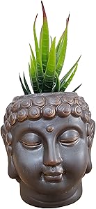 Cute Cartoon Buddha Head Shaped Succulent Cactus Flower Pot/Plant Pots/Planter/Container for Home Garden Office Desktop Decoration (Plants Not Included)